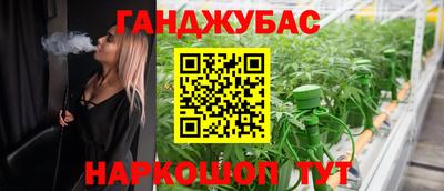гидра Краснознаменск