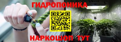 гидра Краснознаменск