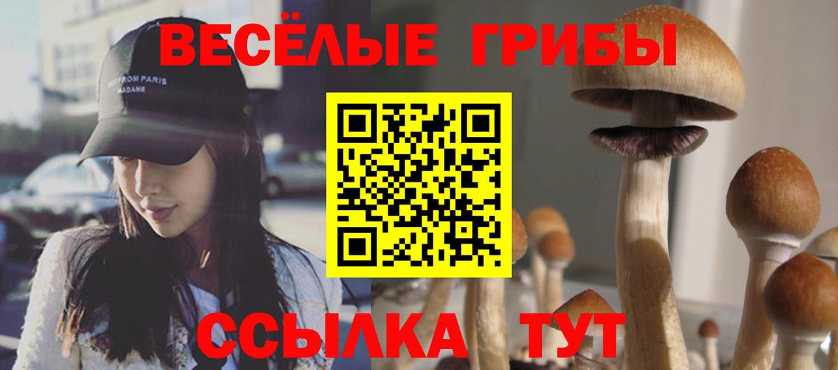 Коркино  что такое   Вход с VPN  Псилоцибиновые грибы Psilocybine cubensis 